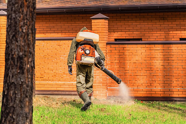 Trusted Rodent Control service in Fruit Cove, FL - Nex Pest Control